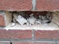Verwijderen van oud isolatiemateriaal in de woning
